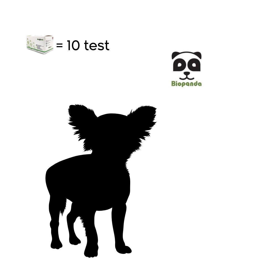 PARVOVIRUS + CORONAVIRUS